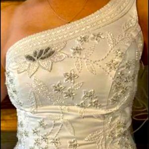 Wedding dress, one strap, veil, petticoat